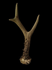 Comment se débarrasser définitivement d'ed ?